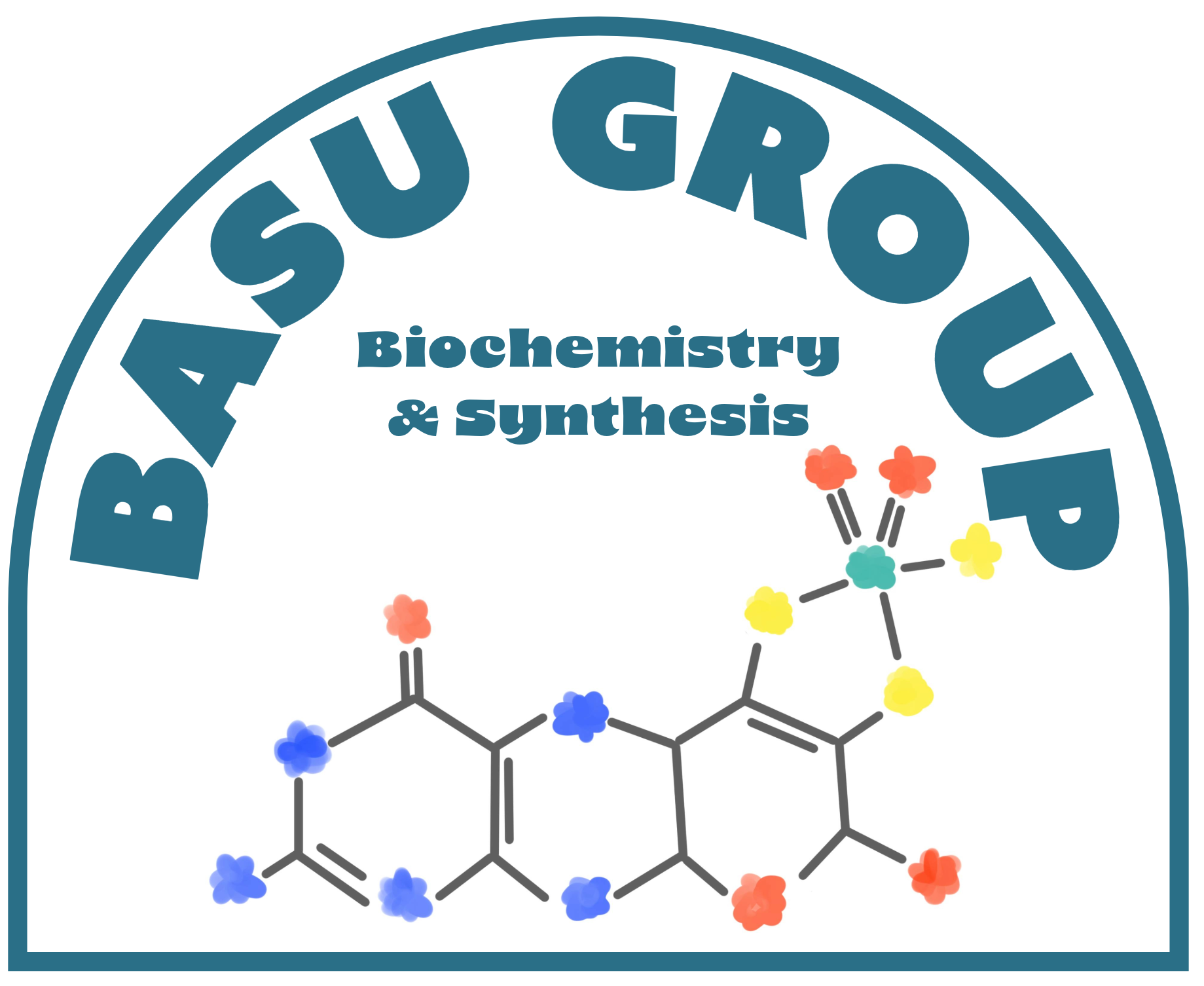 Basu Research Group